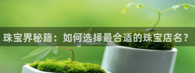 众联别墅g座上腾娱乐有限公司:珠宝界秘籍:如何选择最合适的珠