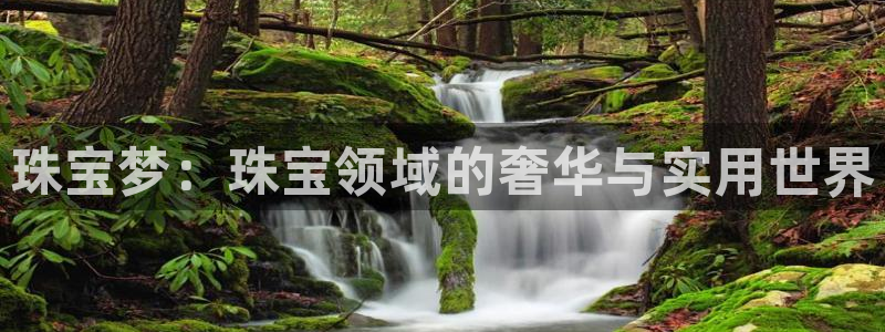 众腾娱乐平台下载:珠宝梦:珠宝领域的奢华与实用世界