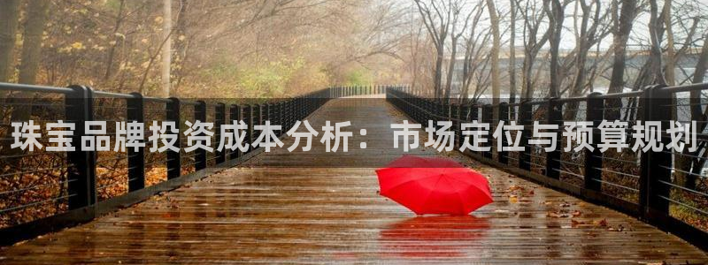 众腾娱乐扣款是正规的吗:珠宝品牌投资成本分析:市场定位与预算