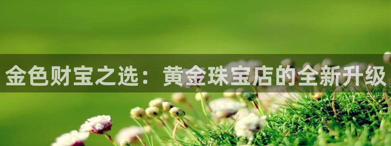 众腾娱乐招商:金色财宝之选:黄金珠宝店的全新升级