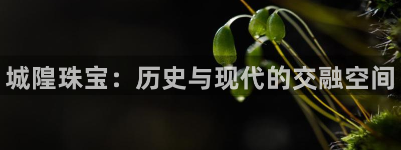 包头众腾娱乐:城隍珠宝:历史与现代的交融空间