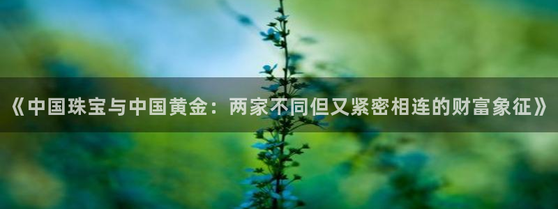 腾耀3娱乐众123:《中国珠宝与中国黄金:两家不同但又紧密相