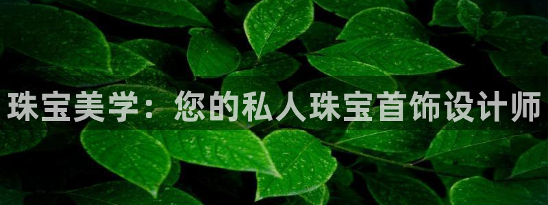 众腾娱乐:珠宝美学:您的私人珠宝首饰设计师