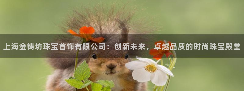 彝族自治州众腾娱乐:上海金铸坊珠宝首饰有限公司:创新未来,卓