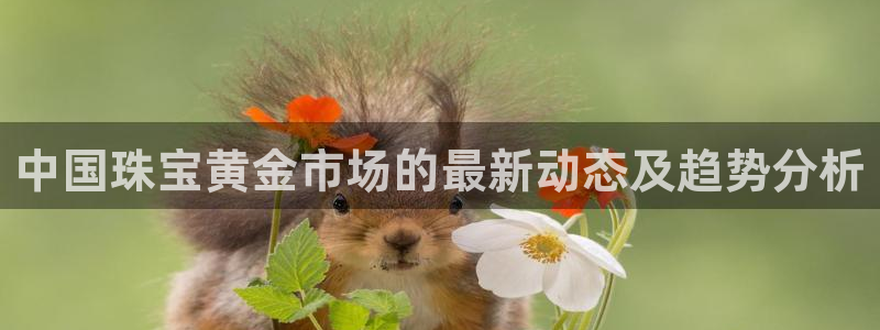 众腾娱乐登入探索无限空间:中国珠宝黄金市场的最新动态及趋势分